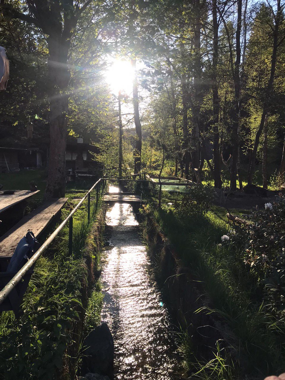 Talmühlen Sommerfest ☀️ 12.06-14.06.26