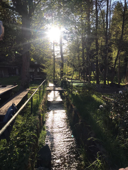 Talmühlen Sommerfest ☀️ 12.06-14.06.26